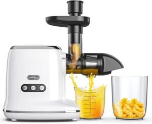 Cold Press Juicers Machines with Reverse Function & Quiet Motor